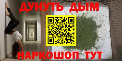 ГАЛЛЮЦИНОГЕННЫЕ ГРИБЫ Гагарин