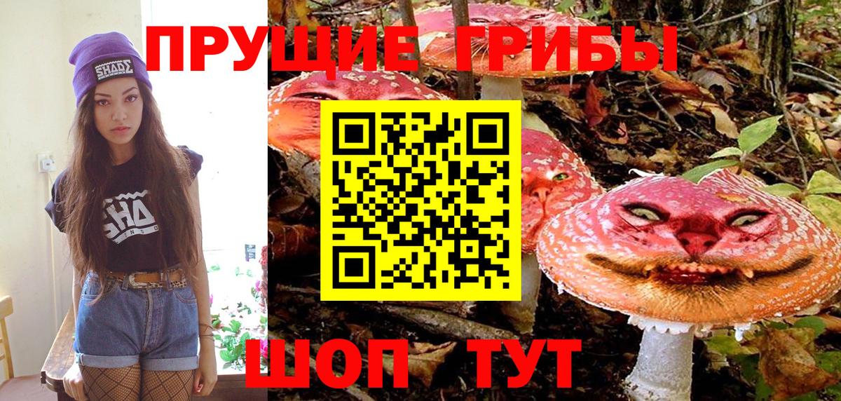 где можно купить   Нягань  Псилоцибиновые грибы Psilocybine cubensis 